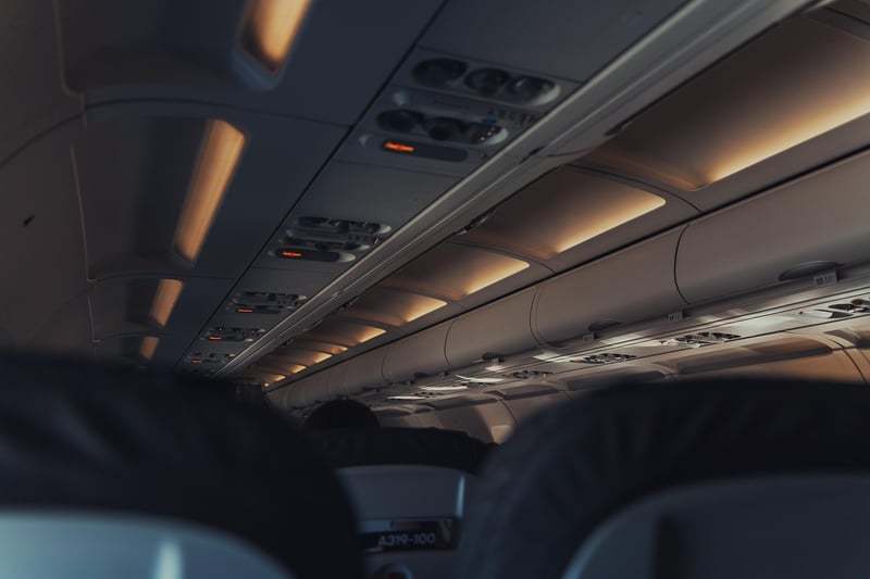 Travel Pillow